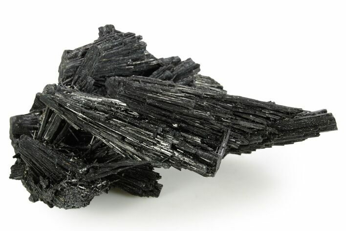 Black Tourmaline (Schorl) Crystal Cluster - Namibia #363670